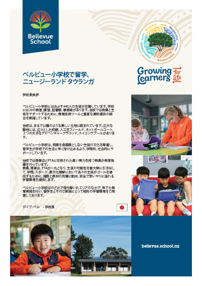 Japanese-Brochure-image