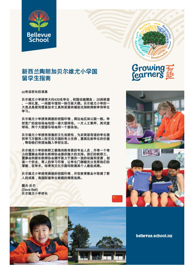 Mandarin-Brochure-image